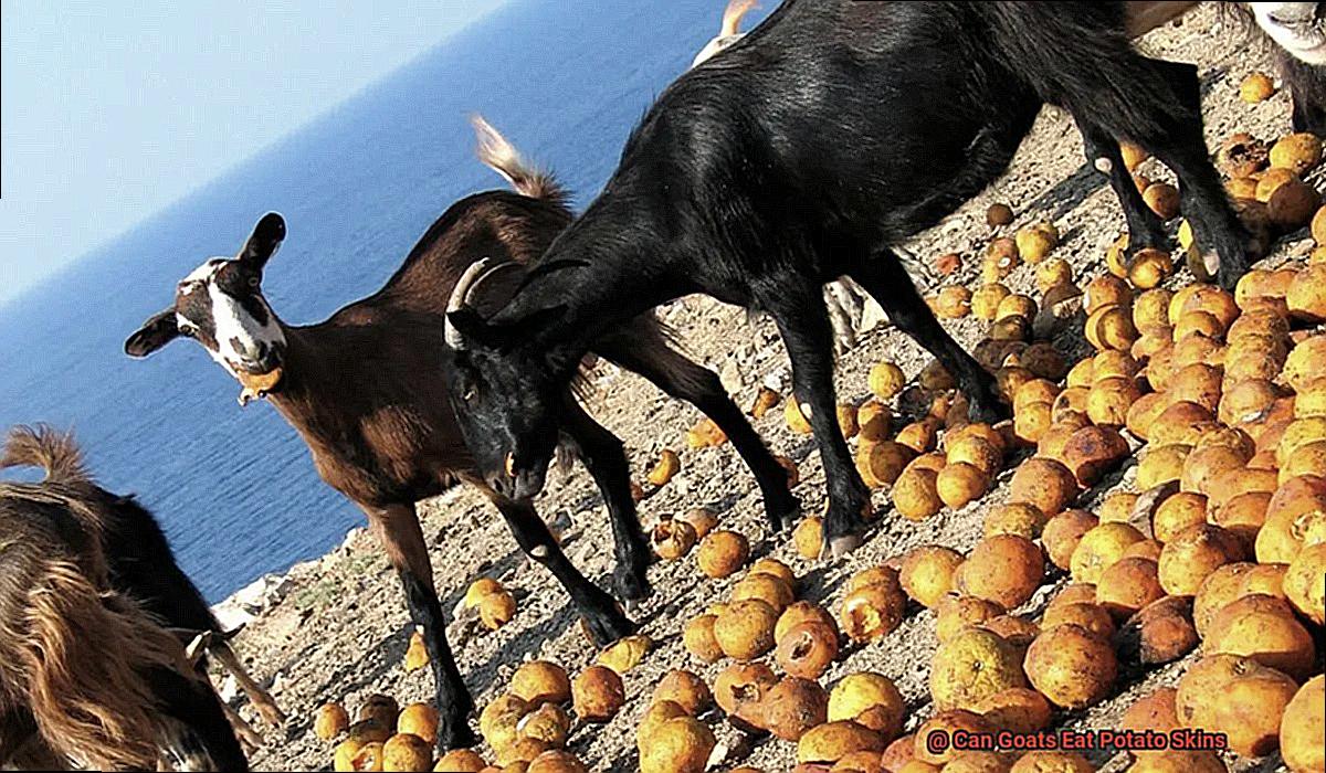 Can Goats Eat Potato Skins-2