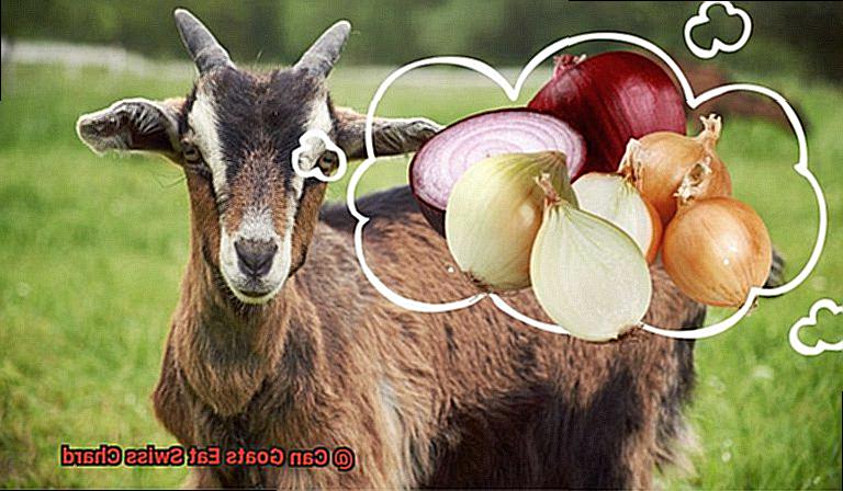 Can Goats Eat Swiss Chard-6