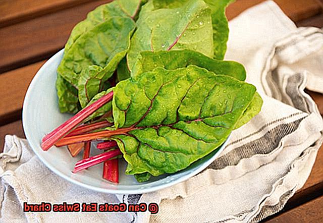 Can Goats Eat Swiss Chard-4