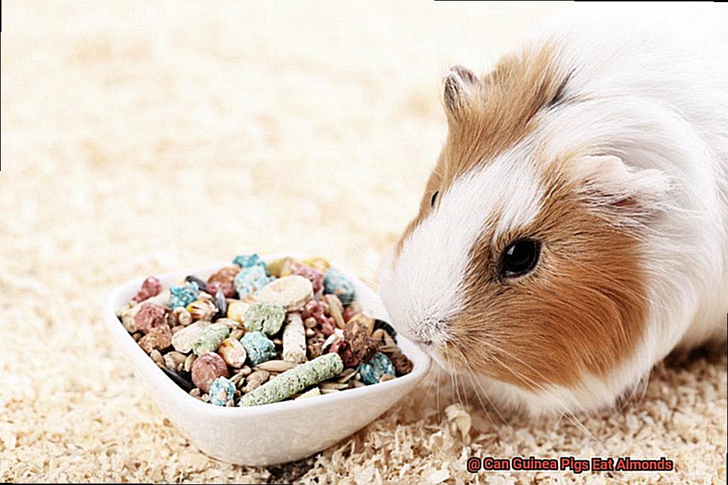 Can Guinea Pigs Eat Almonds-3