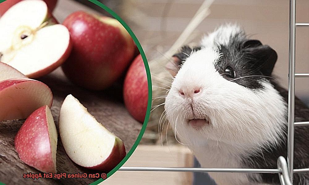 Can Guinea Pigs Eat Apples-5