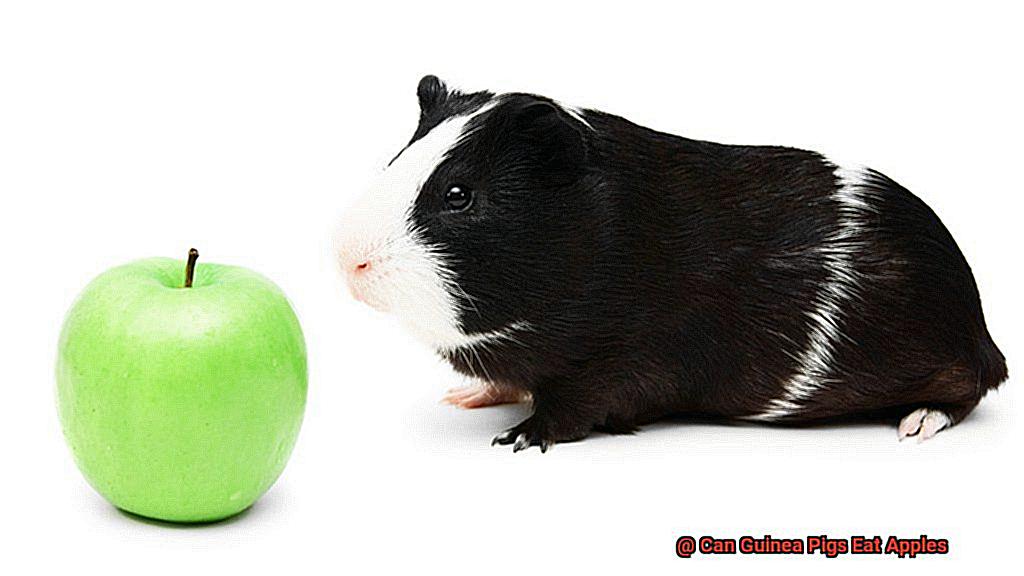 Can Guinea Pigs Eat Apples-3