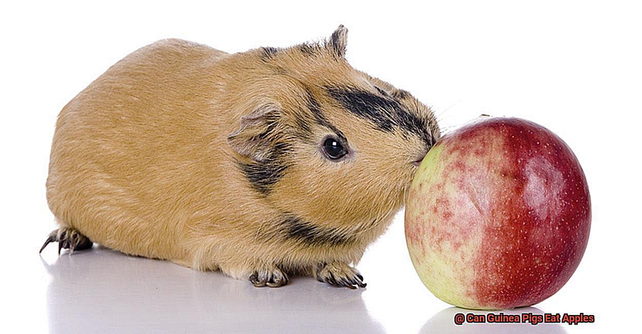 Can Guinea Pigs Eat Apples-3