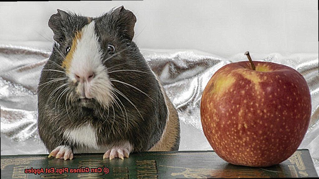 Can Guinea Pigs Eat Apples-2