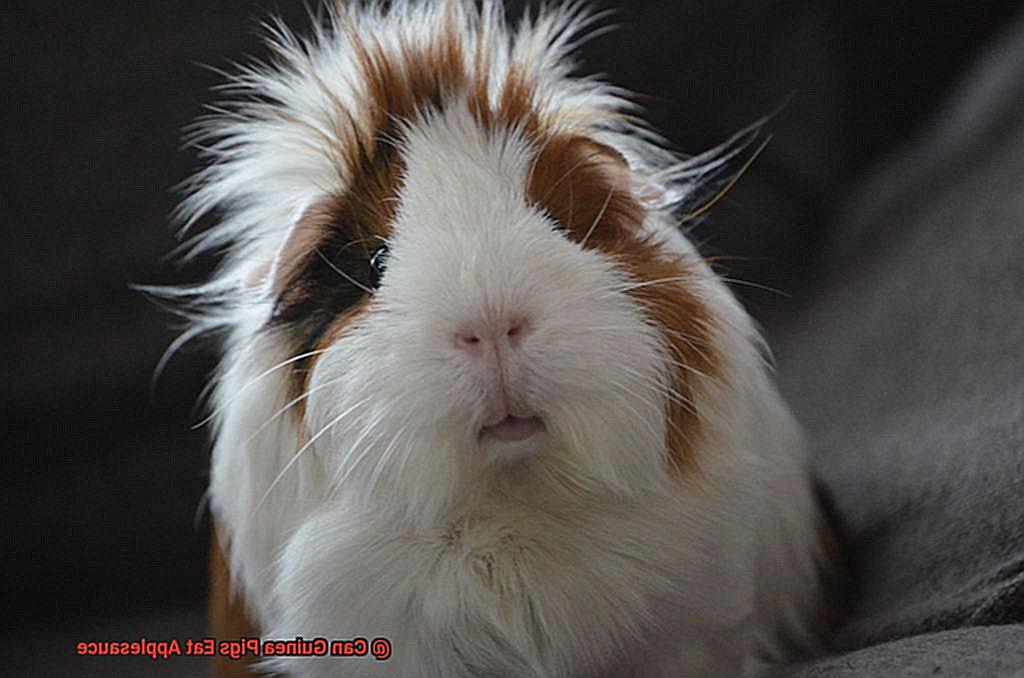 Can Guinea Pigs Eat Applesauce-7