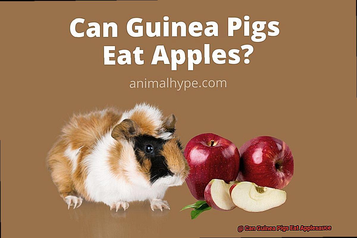 Can Guinea Pigs Eat Applesauce-4