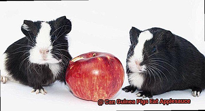 Can Guinea Pigs Eat Applesauce-3
