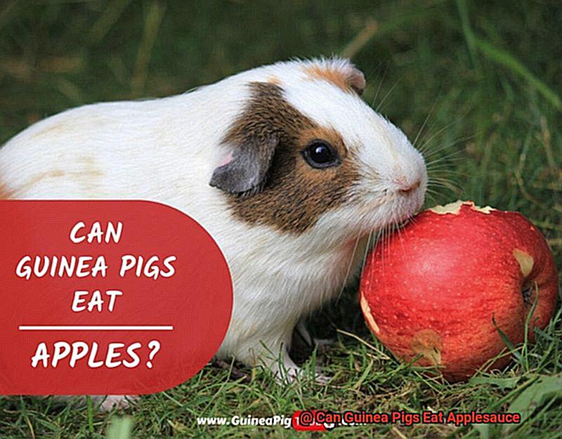 Can Guinea Pigs Eat Applesauce-6