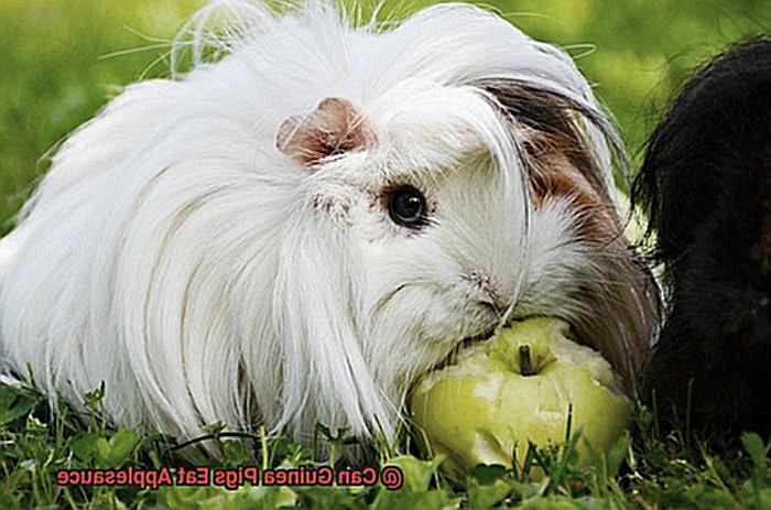 Can Guinea Pigs Eat Applesauce-2