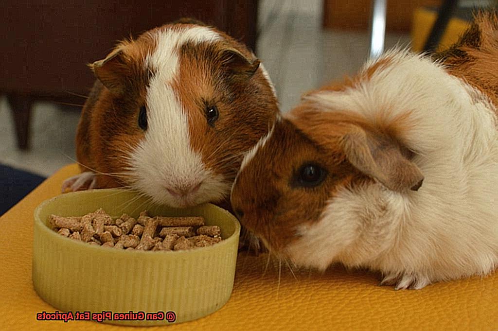 Can Guinea Pigs Eat Apricots-2