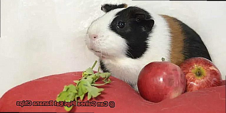 Can Guinea Pigs Eat Banana Chips-5