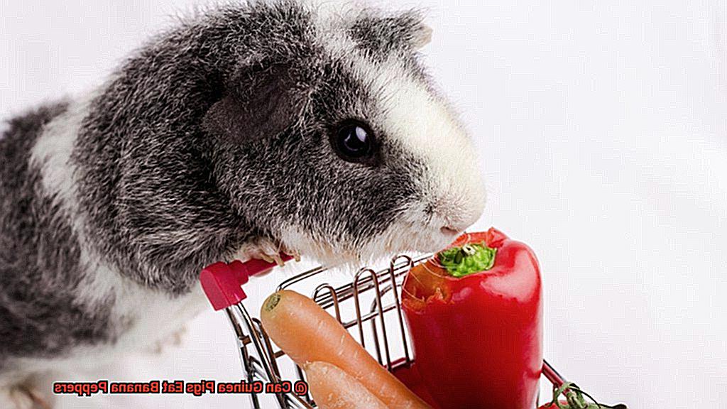 Can Guinea Pigs Eat Banana Peppers-3