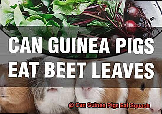 Can Guinea Pigs Eat Squash-2