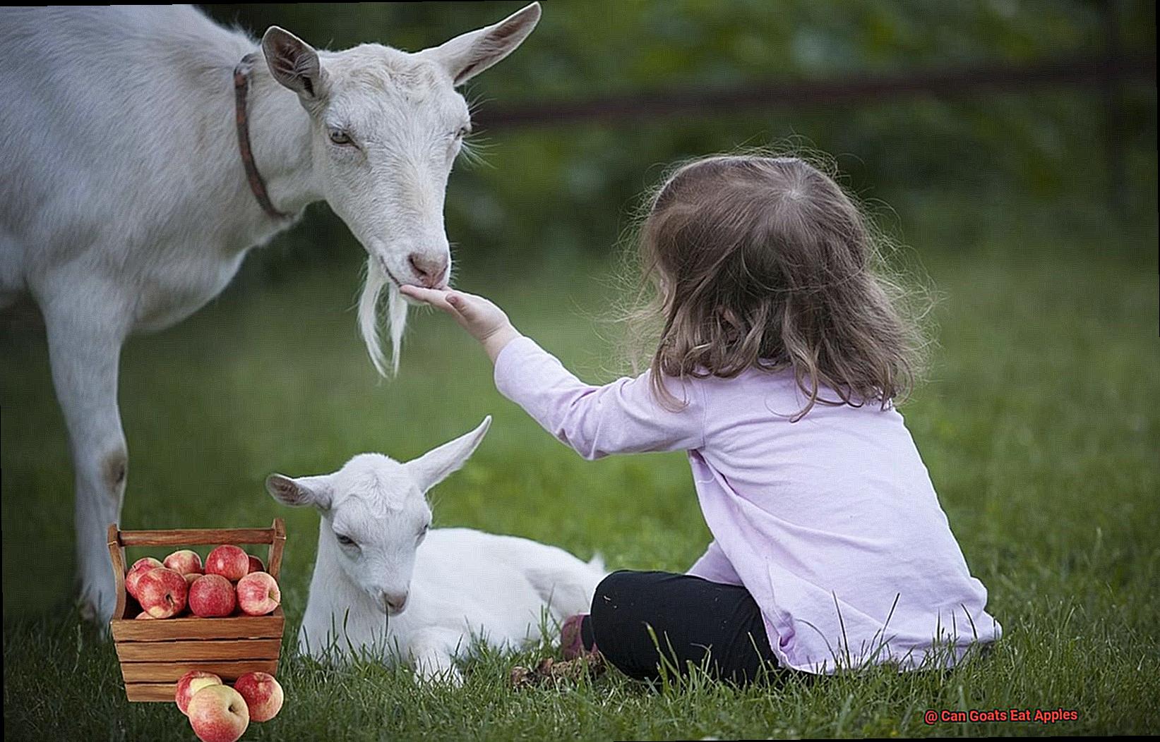 Can Goats Eat Apples-5