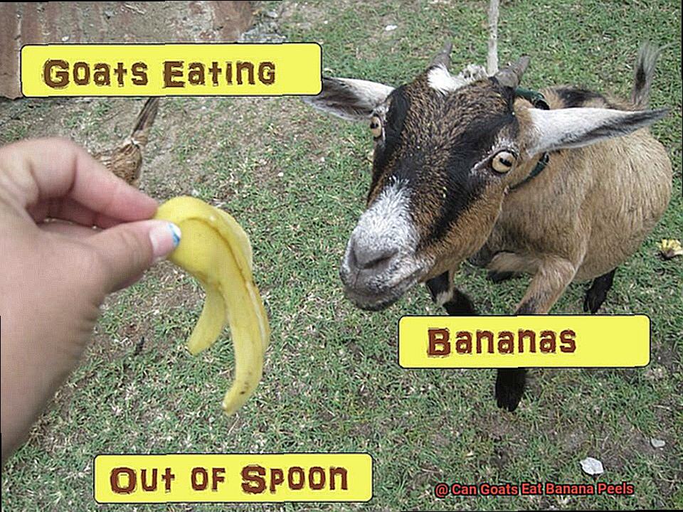 Can Goats Eat Banana Peels-2