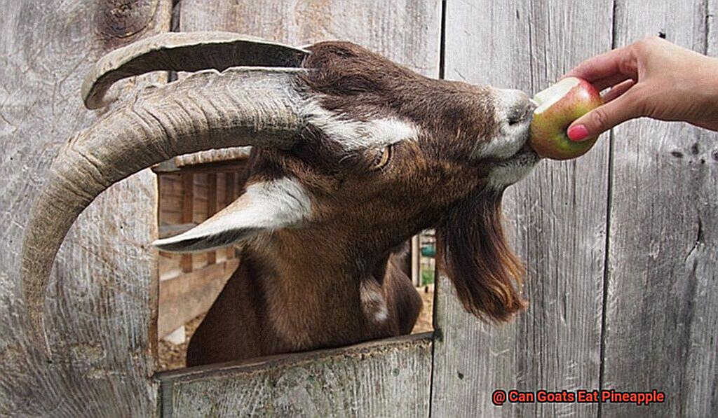 Can Goats Eat Pineapple-2