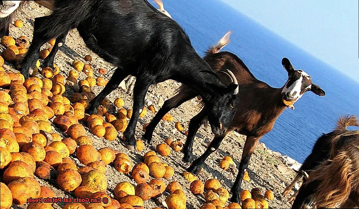 Can Goats Eat Potato Peels-4