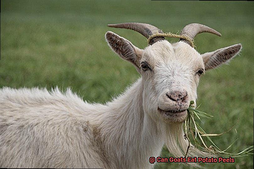 Can Goats Eat Potato Peels-3