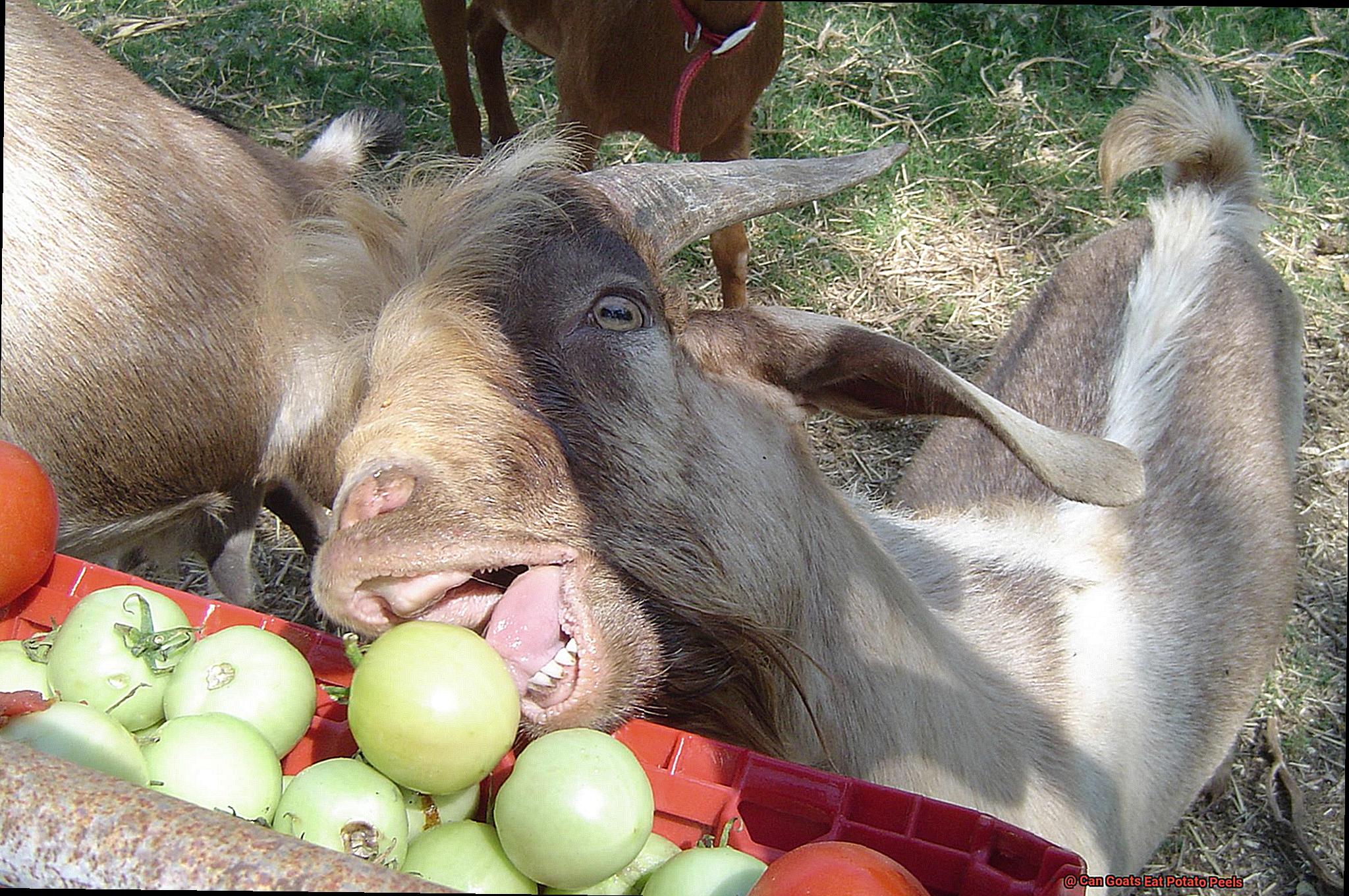 Can Goats Eat Potato Peels-8