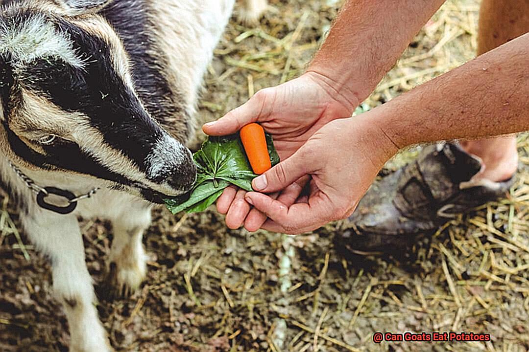 Can Goats Eat Potatoes-3