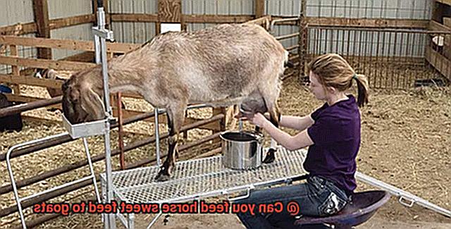 Can you feed horse sweet feed to goats-2