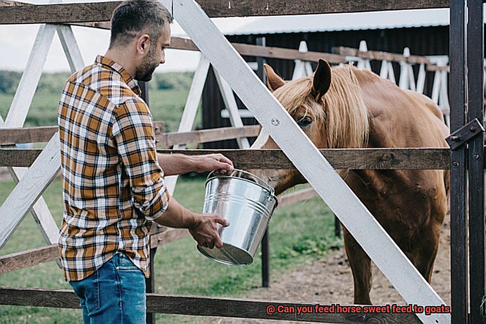 Can you feed horse sweet feed to goats-4