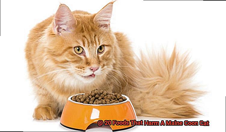 20 Foods That Harm A Maine Coon Cat-2