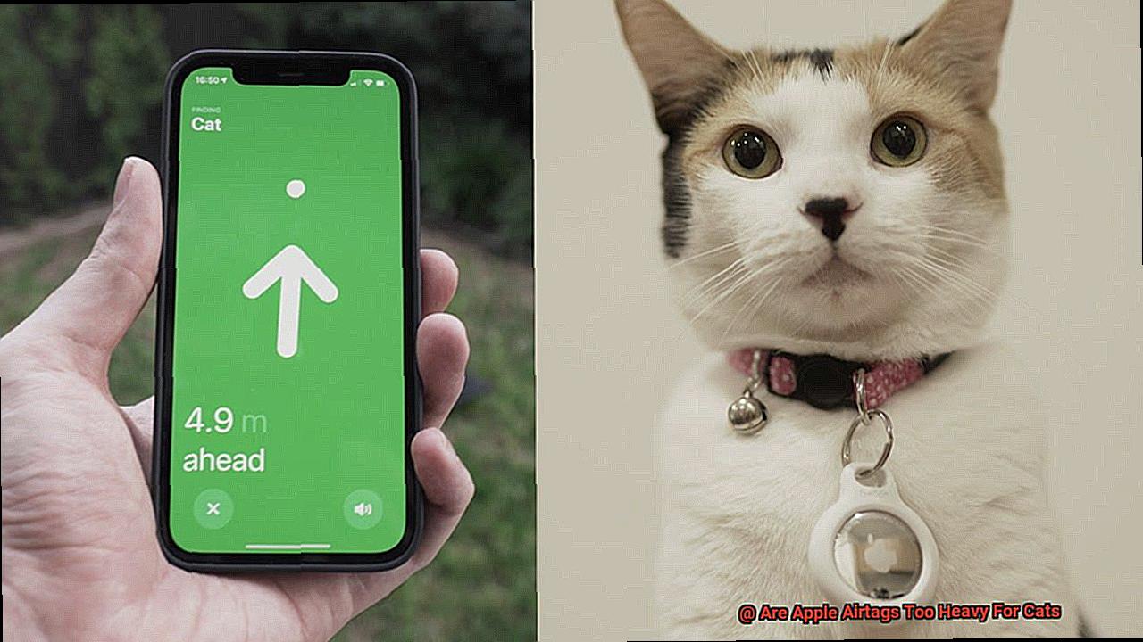 Are Apple Airtags Too Heavy For Cats-2