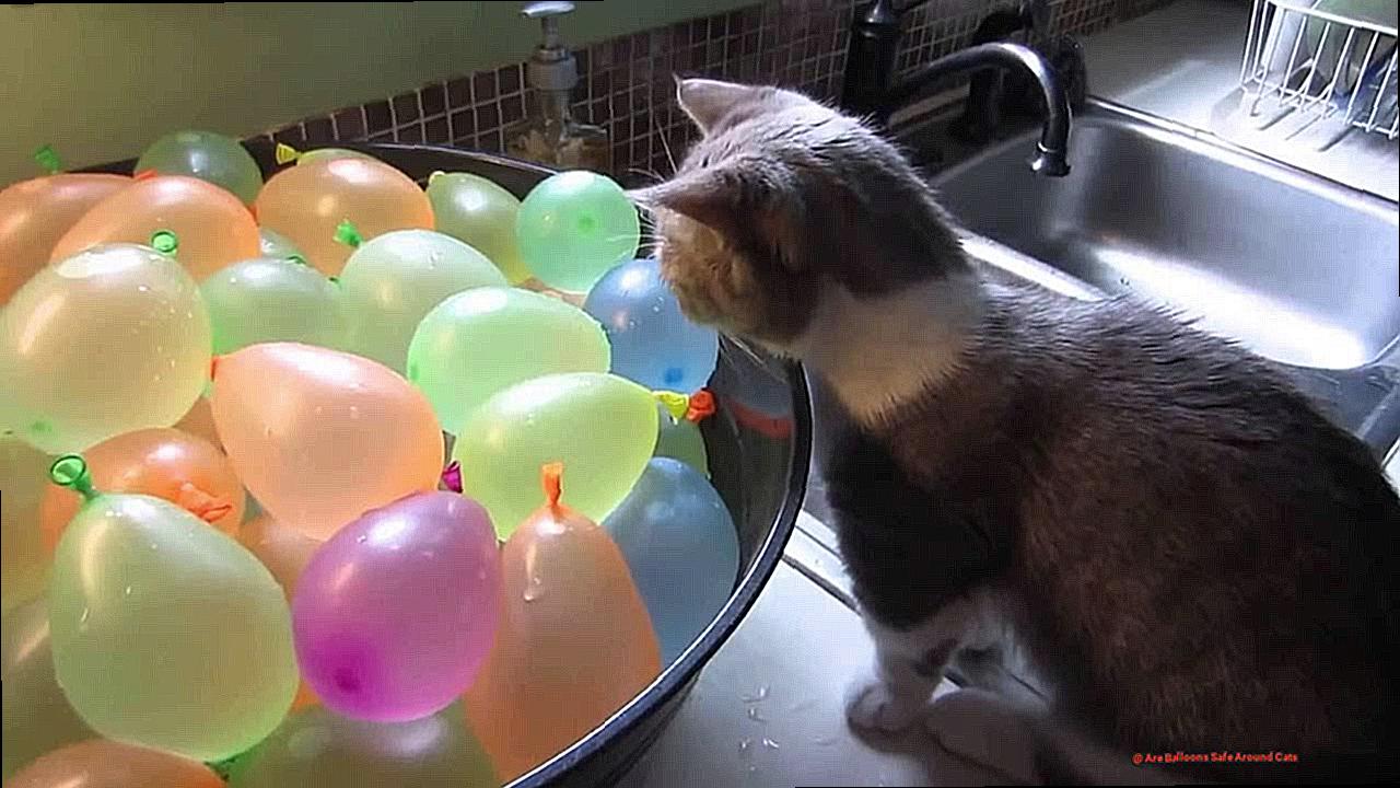 Are Balloons Safe Around Cats-3