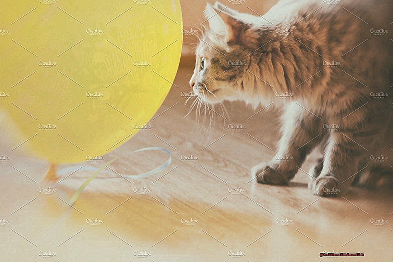 Are Balloons Safe Around Cats-2