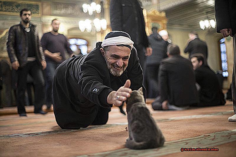 Are Cats Allowed In Islam-2