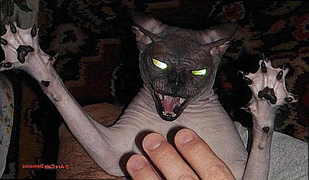 Are Cats Demonic-2