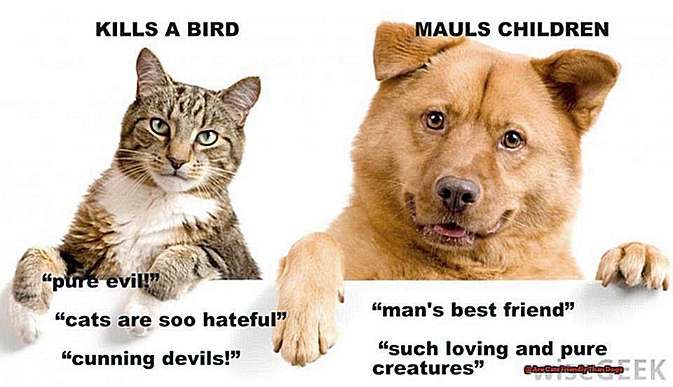 Are Cats Friendly Than Dogs-2