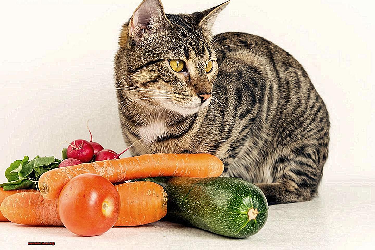 Are Cats Omnivores-2