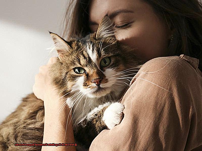 Are Cats Or Dogs Better Emotional Support Animals-2