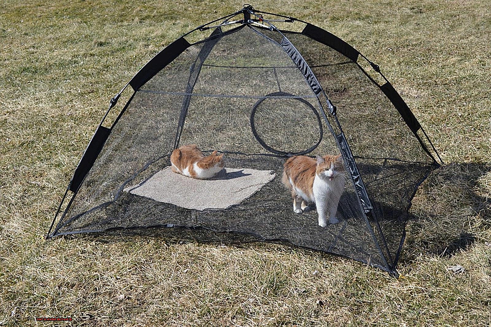 Are Cats Safe In A Tent-2